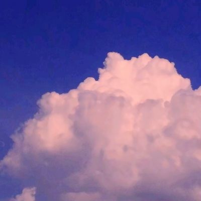 狗万manbet下载手机版截图