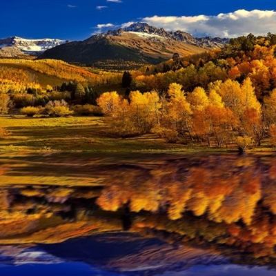 ag娱乐平台游戏中心手机app下载