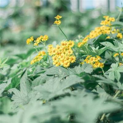 娱乐宝官网下载手机版