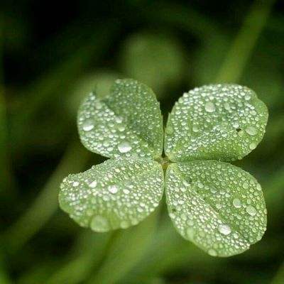 华体会体育手机app下载