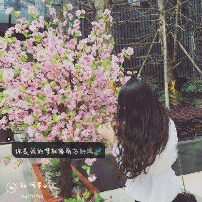 管家婆一码一肖资料下载手机版